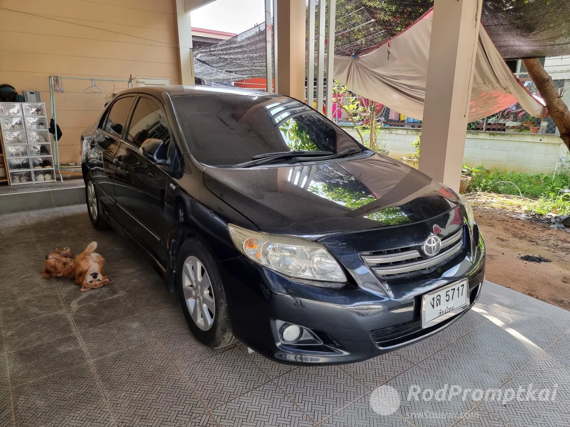 TOYOTA COROLLA ALTIS