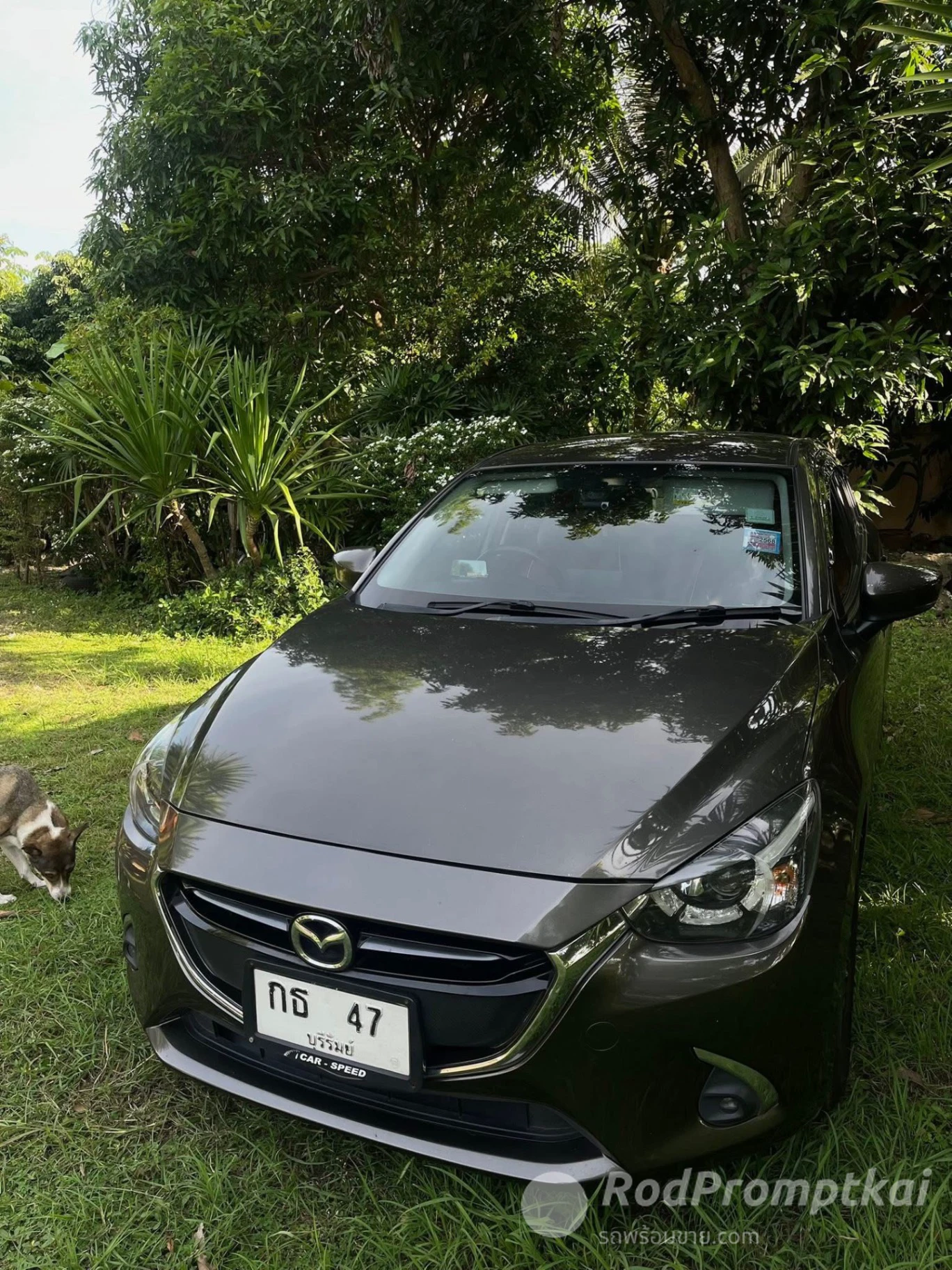 MAZDA 2