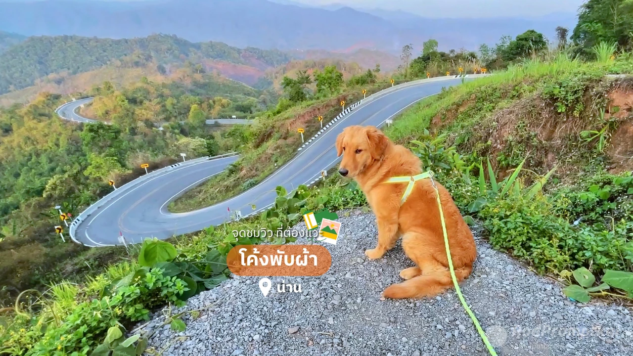 จุดชมวิวโค้งพับผ้า | ถนนวิวสวย อ.บ่อเกลือ จ.น่าน