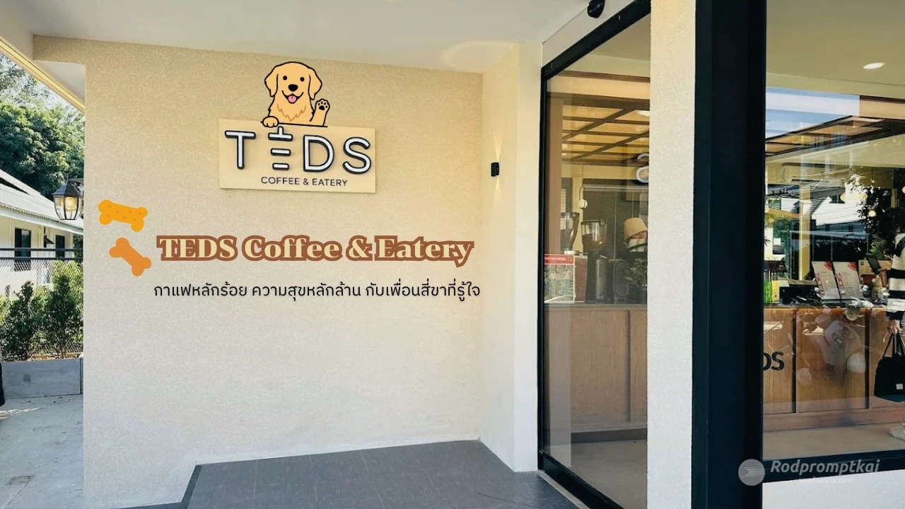 คาเฟ่น้องหมา | TEDS Coffee & Eatery เชียงใหม่