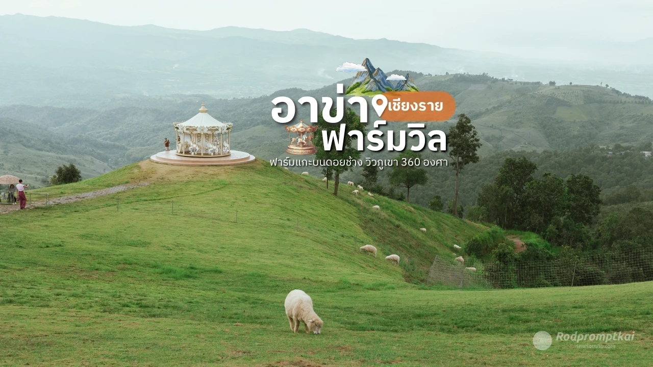 อาข่า ฟาร์มวิล | ฟาร์มแกะ & คาเฟ่ ดอยช้าง จ.เชียงราย