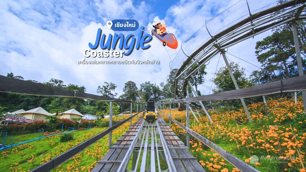 Pong Yang Jungle Coaster Zipline เชียงใหม่