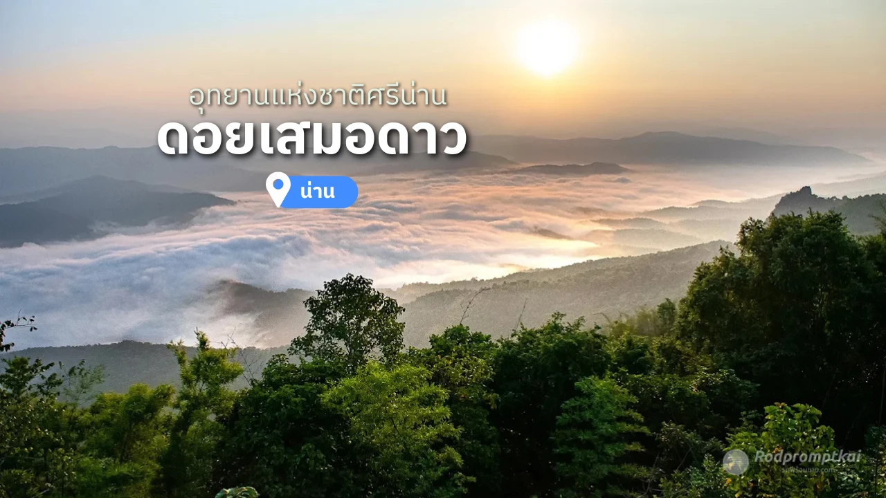 ดอยเสมอดาว นอนนับดาว ชมทะเลหมอก | อุทยานแห่งชาติศรีน่าน