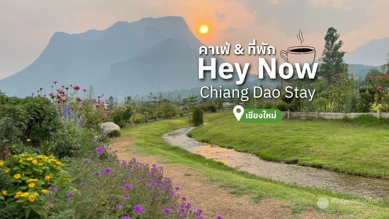 Hey Now Chiang Dao Stay ที่พัก & คาเฟ่สุดฮิตในเชียงใหม่